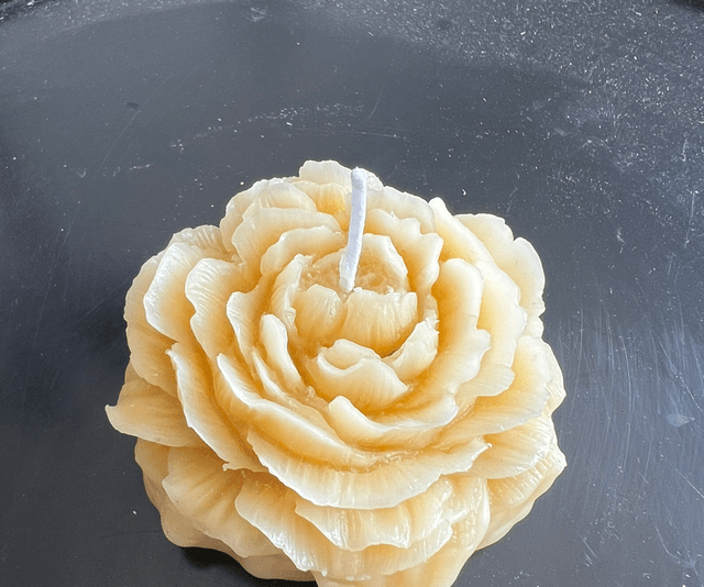 Bougie pivoine