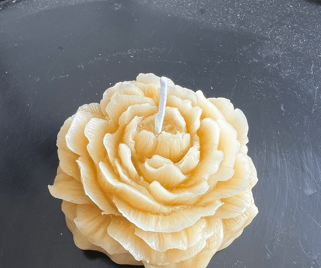 Bougie pivoine